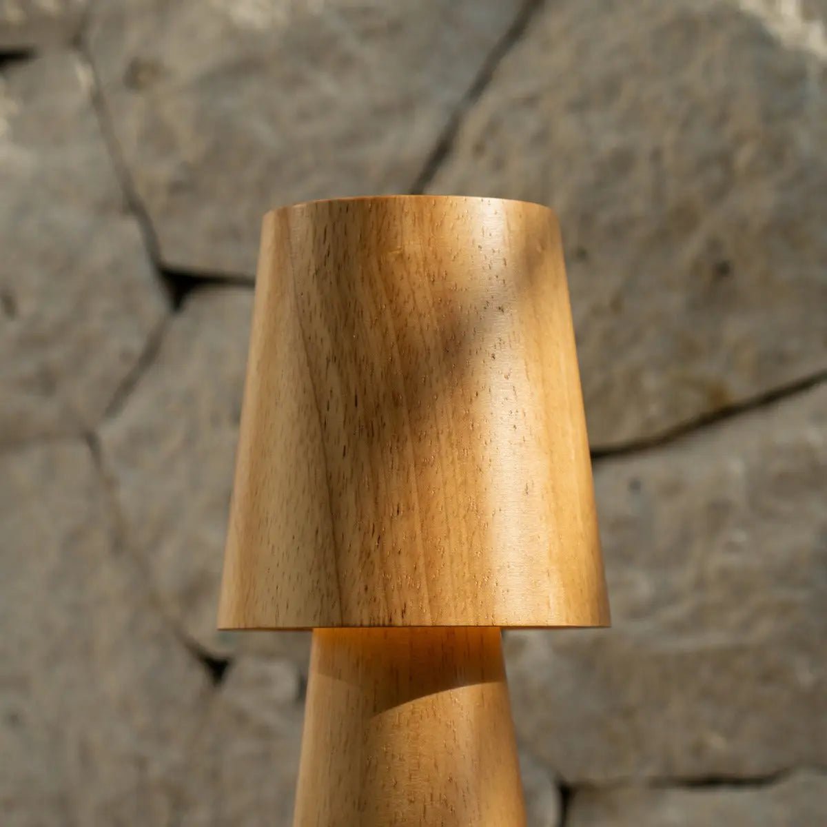 Tavellio-Amsterdam - Lucas oplaadbare tafellamp – draadloos, dimbaar en opladen via USB-C