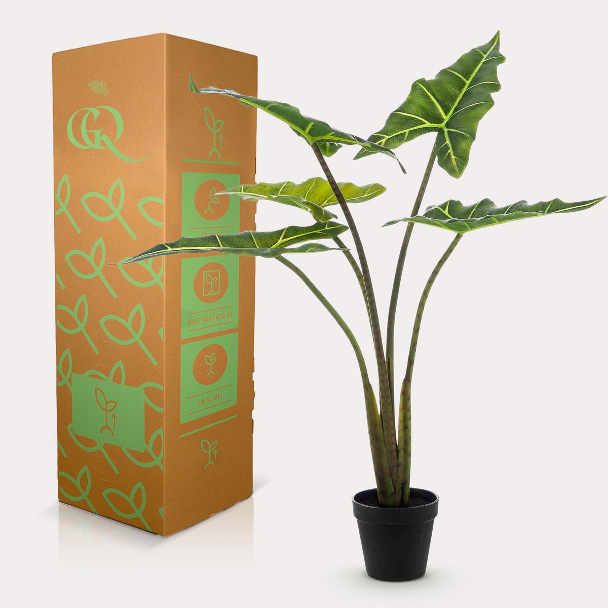 Green BoutiQ - Kunstplant - Alocasia Frydek - Olifantsoor - 80 cm