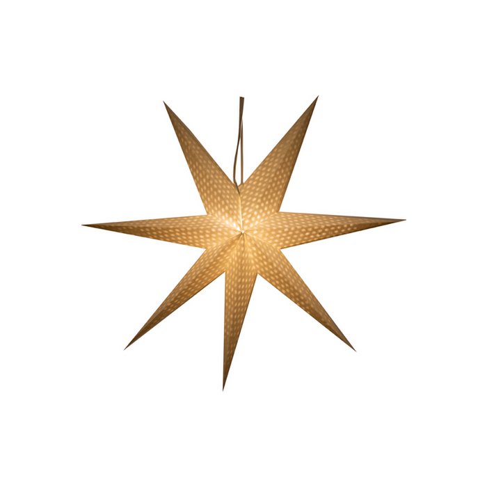 Mrs. Bloom - Witte sterstippen XXL