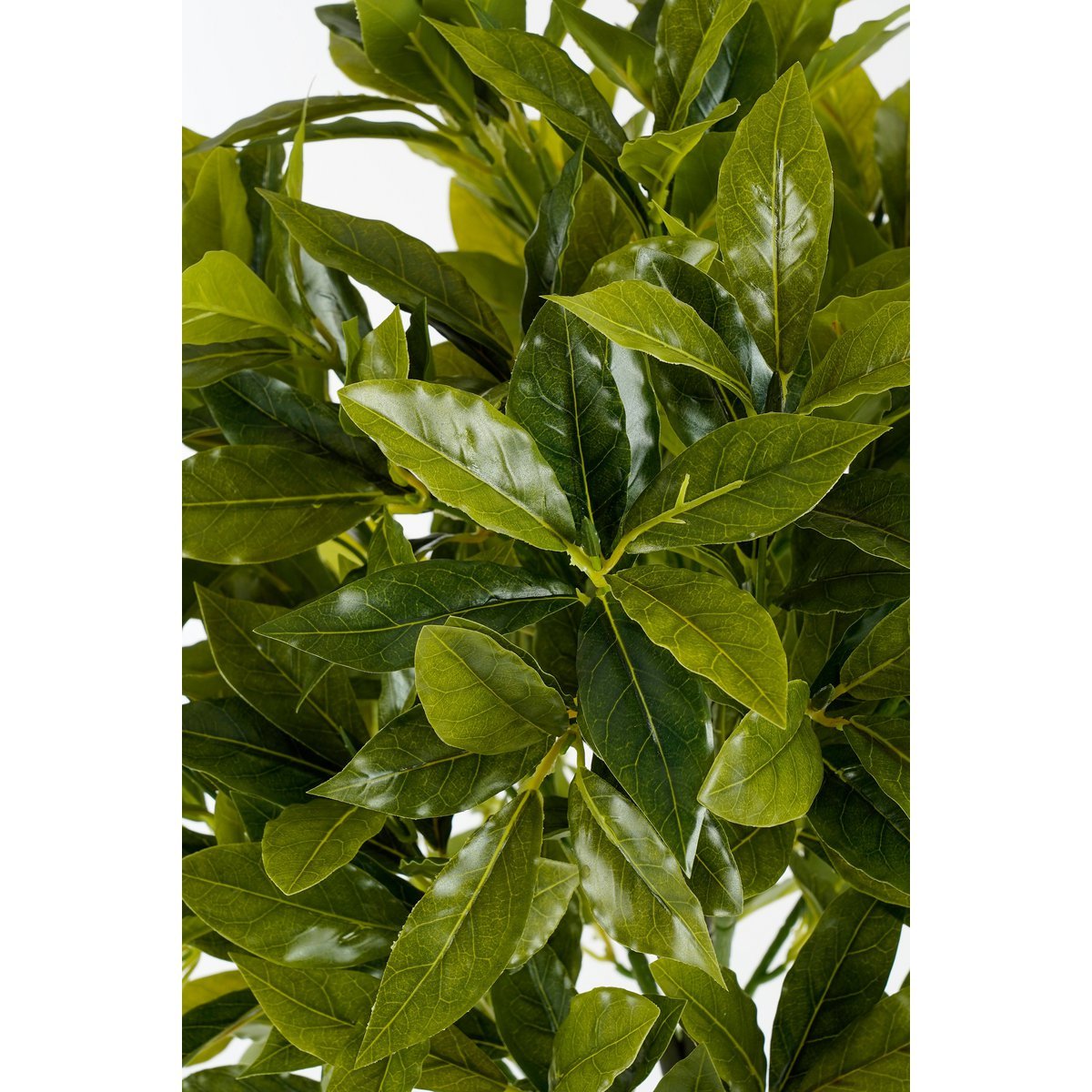 Mica Decorations - Laurierboom Kunstplant - H120 x Ø40 cm - Groen