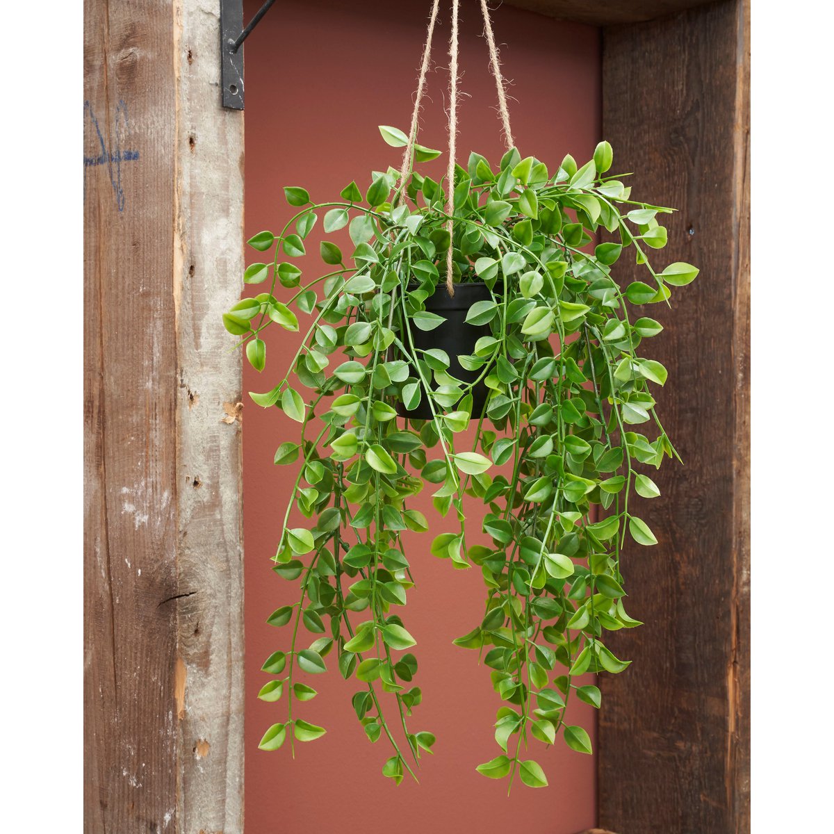 Mica Decorations - Ficus Kunst Hangplant - H81 cm - Groen
