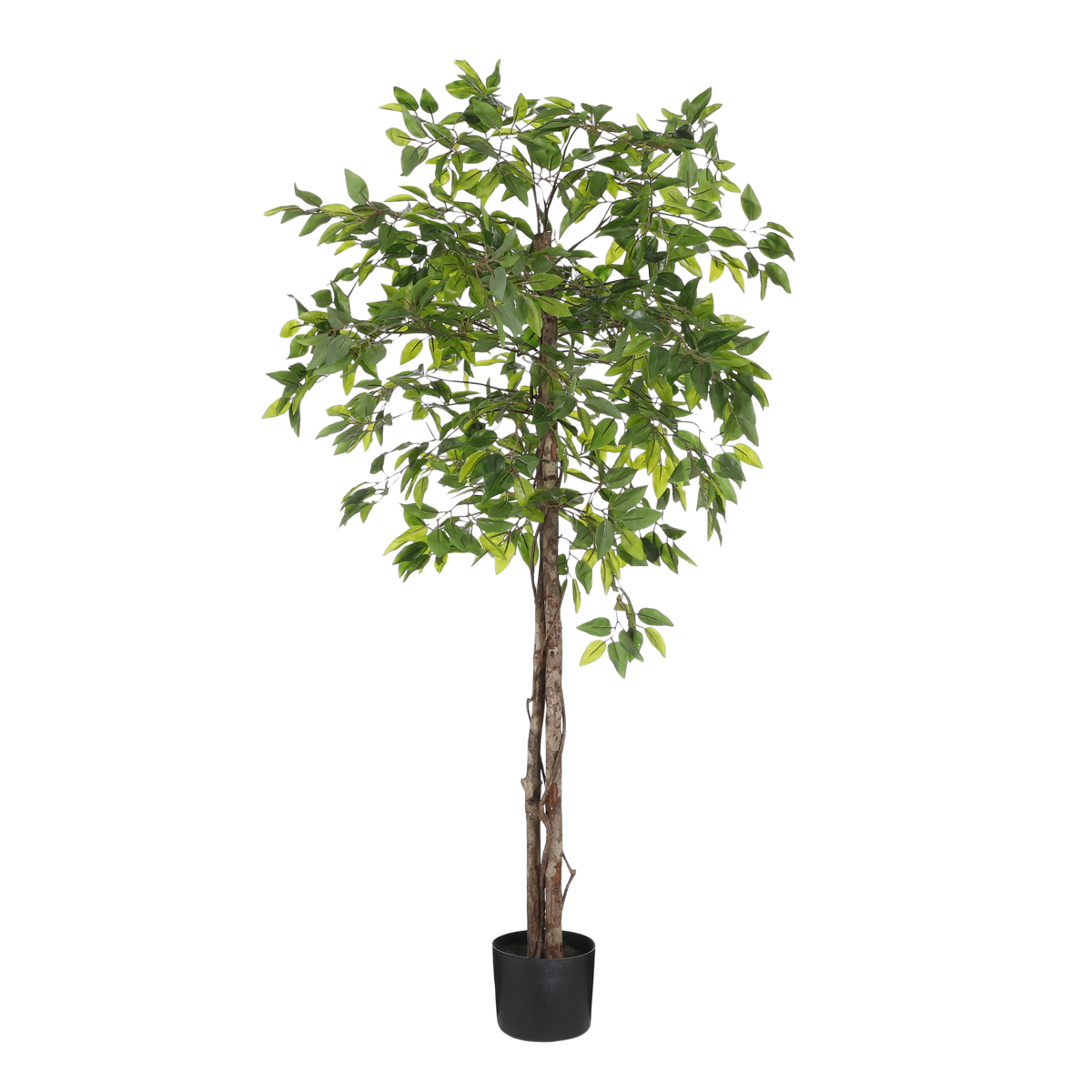 Mica Decorations - Ficus Kunstplant in Bloempot - H150 x Ø50 cm - Groen
