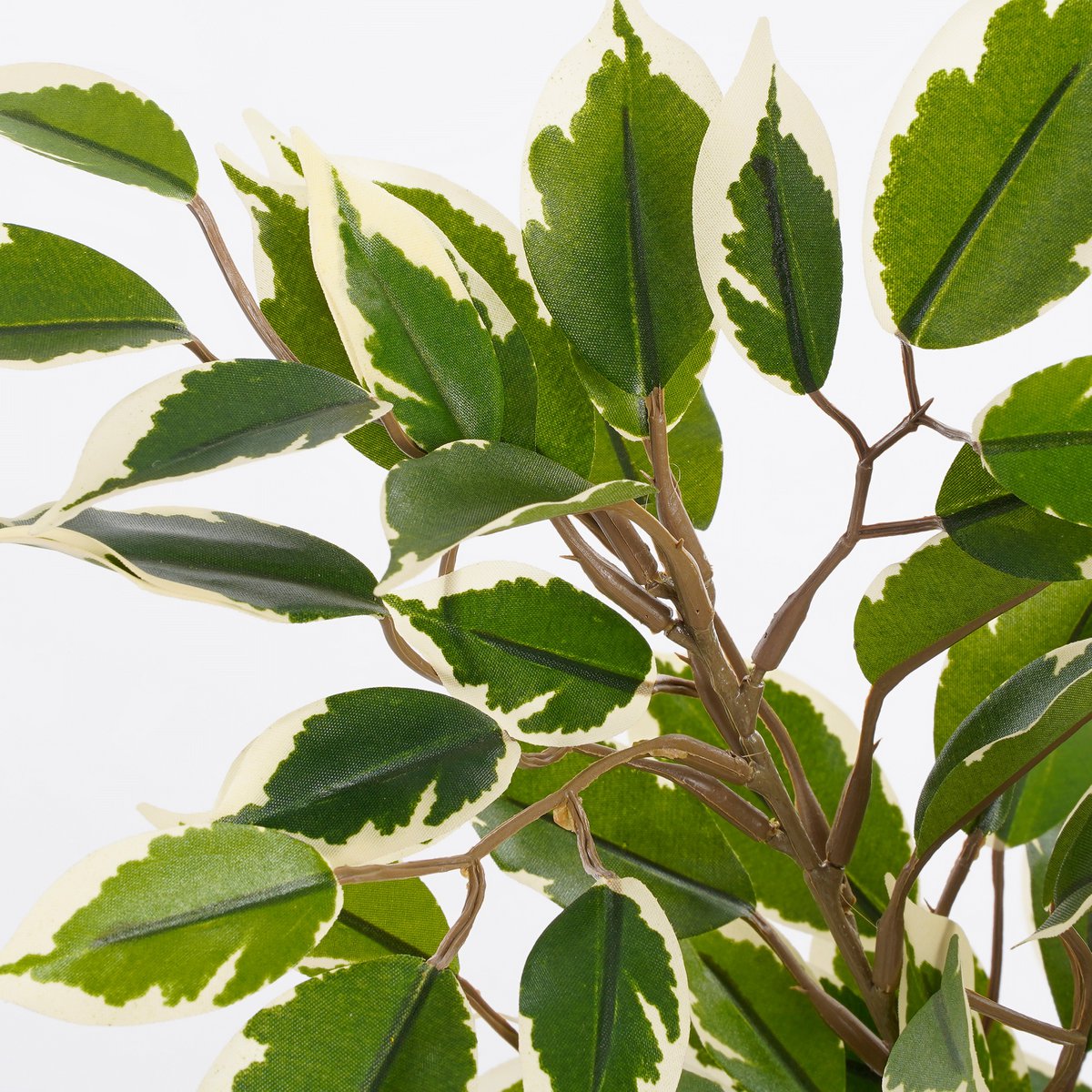 Mica Decorations - Ficus Natasja Kunstplant in Bloempot Stan - H40 x Ø30 cm - Groen Bont