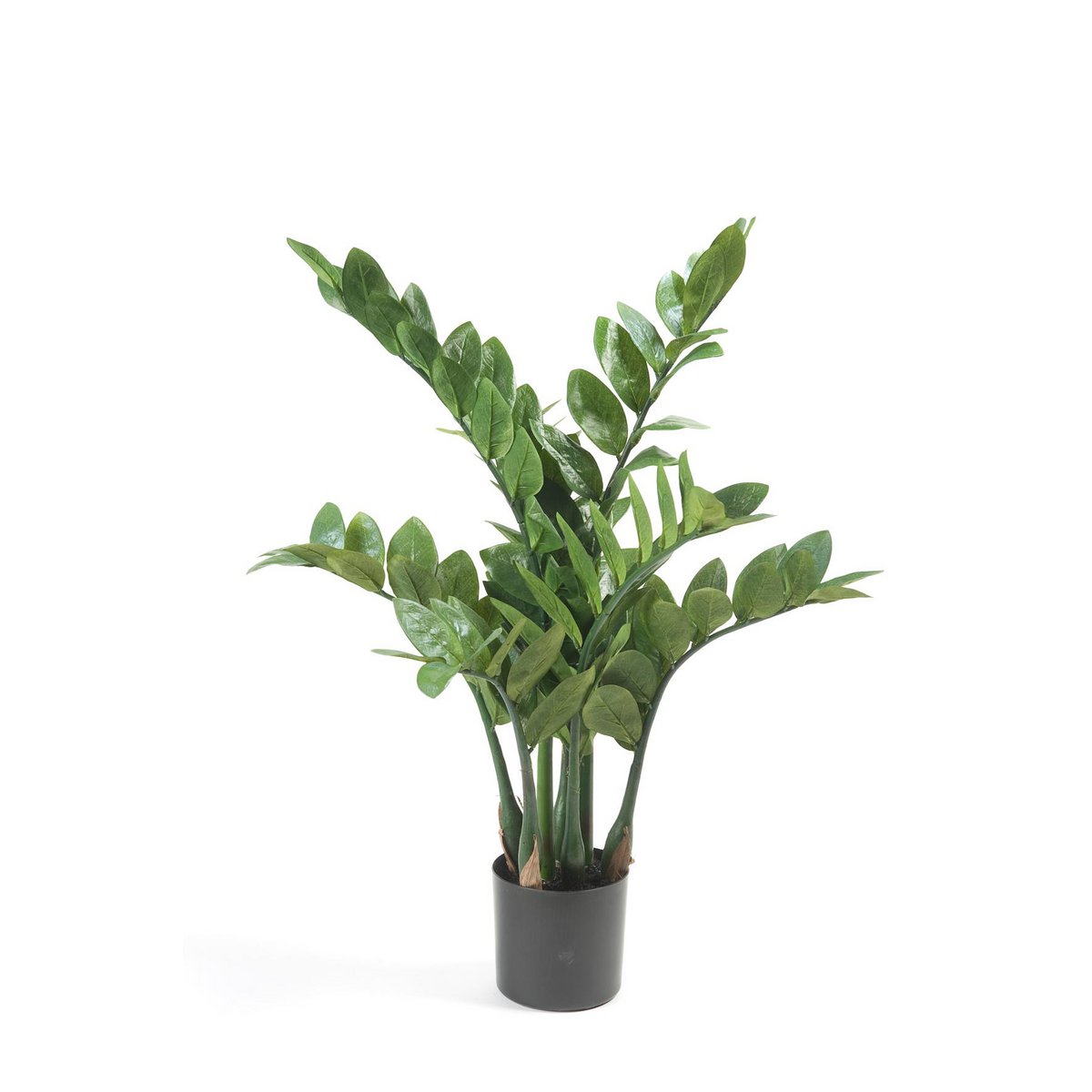 Green BoutiQ - Kunstplant - Zamioculcas - Kamerpalm - 70 cm
