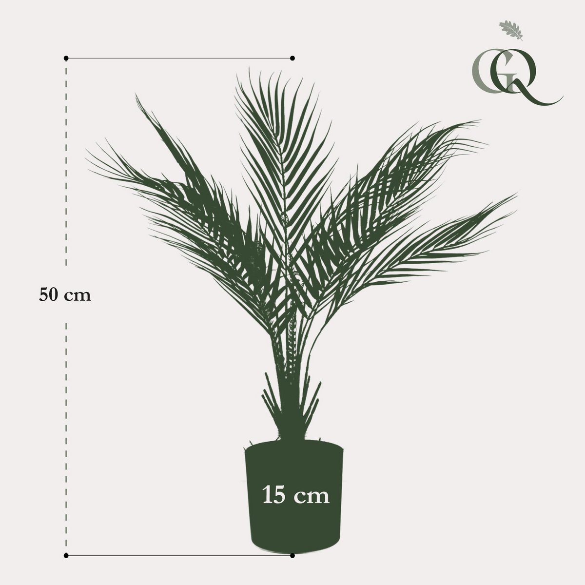 Green BoutiQ - Kunstplant - Chamaedorea - Bergpalm - 50 cm