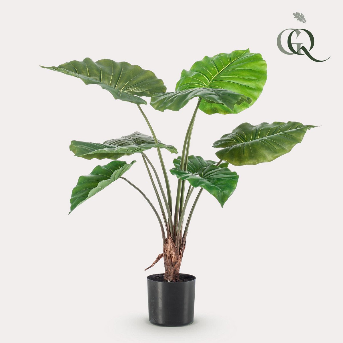 Green BoutiQ - Kunstplant - Alocasia - Olifantsoor - 70 cm