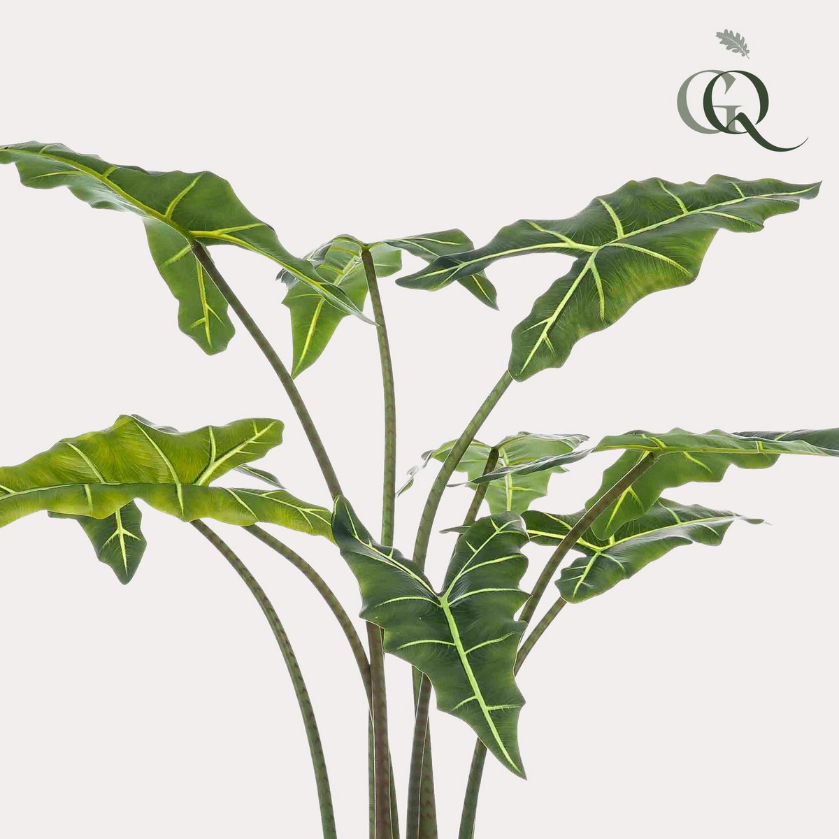 Green BoutiQ - Kunstplant - Alocasia Frydek - Olifantsoor - 120 cm
