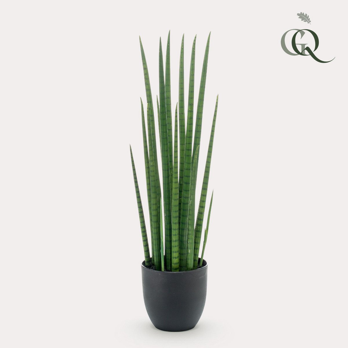 Green BoutiQ - Kunstplant - Sanseveria Cylindrica - Vrouwentong - 70 cm