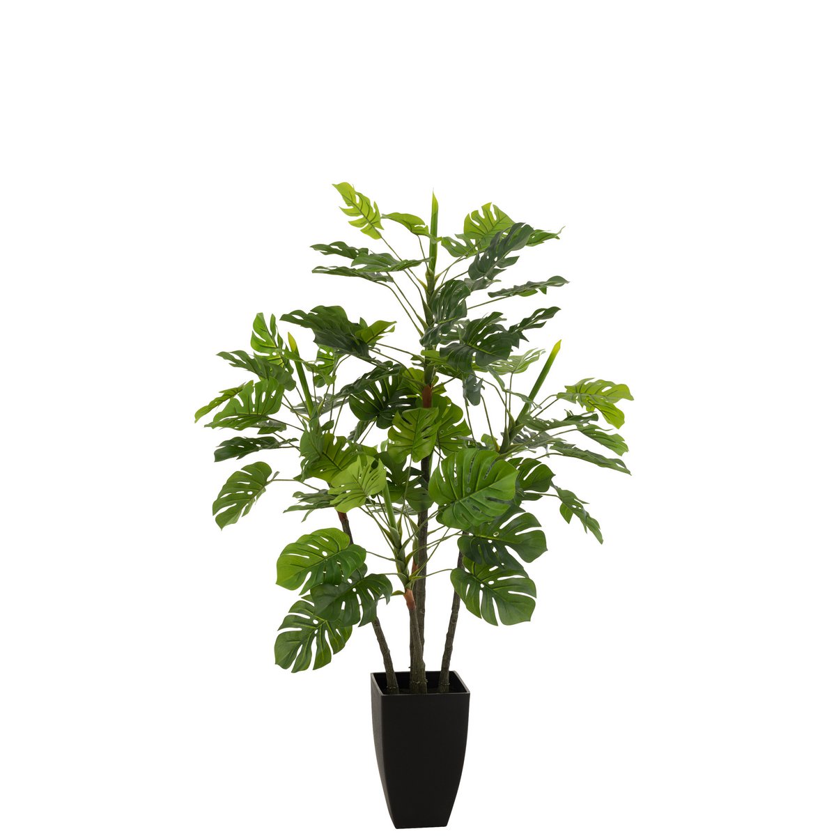 J-Line - Philodendron In Pot Plastic Groen Large