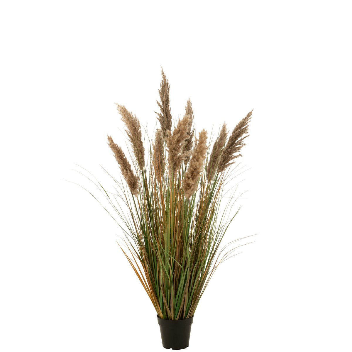 J-Line - Pampas Gras 9 Koppen In Pot Pvc Groen/Beige Medium