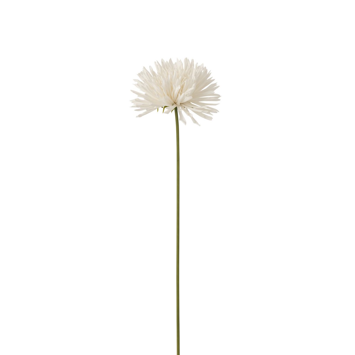 J-Line - Chrysant Plastic Wit Large