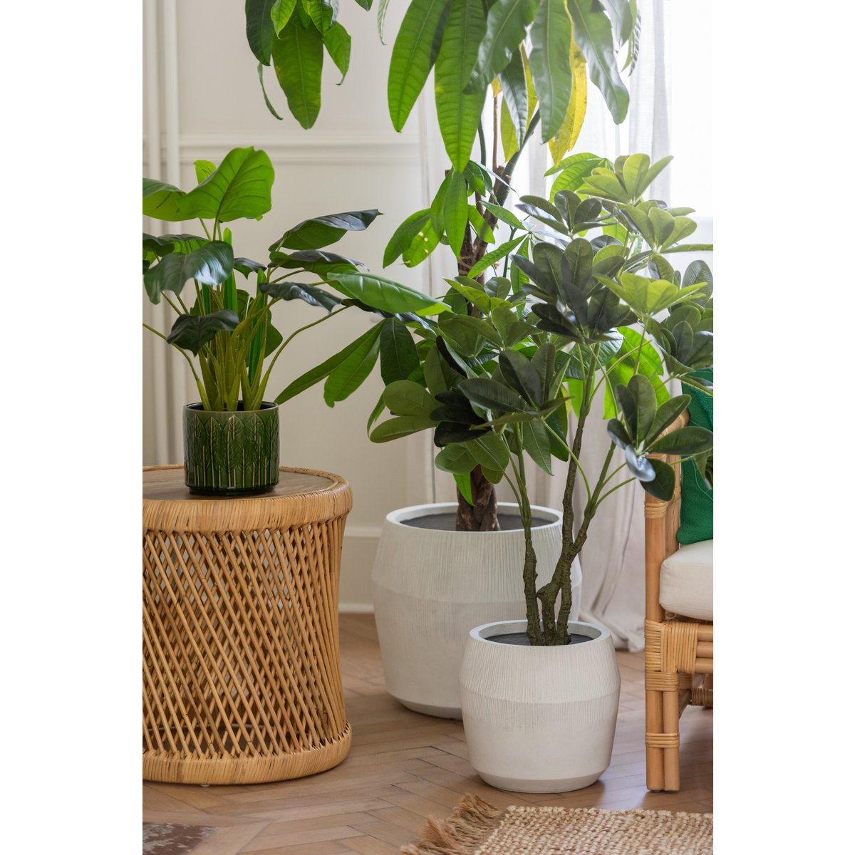 J-Line - Pothos Plant In Pot Plastic Groen