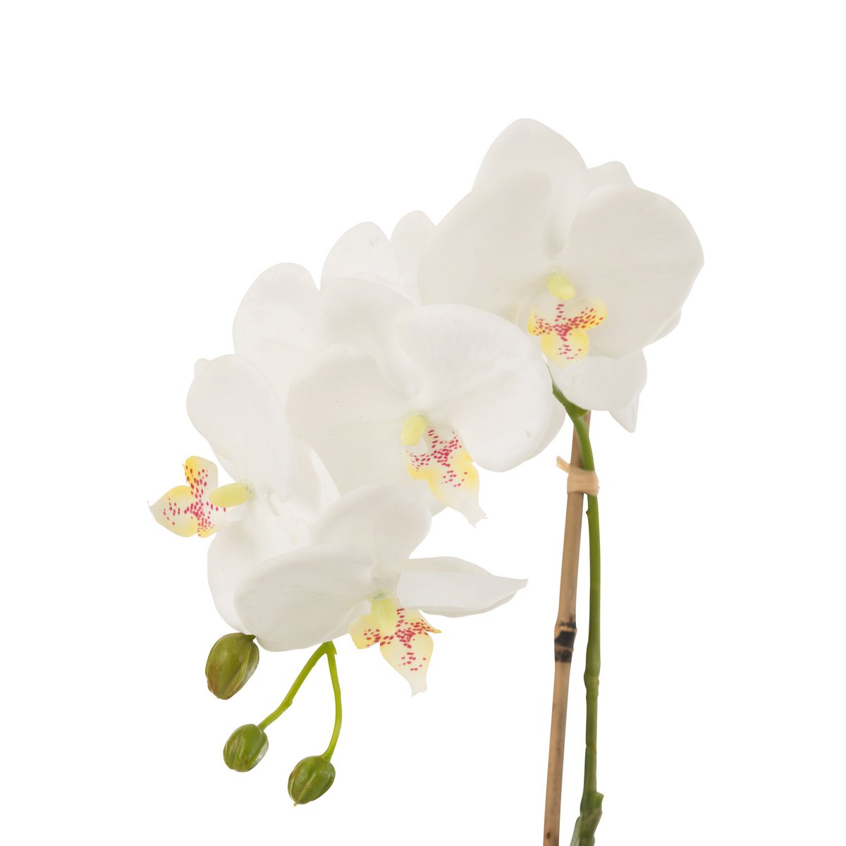 J-Line - Orchidee In Aarde Plastic Wit/Groen Small