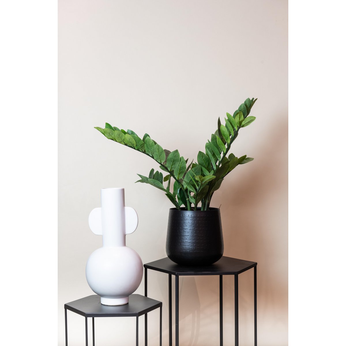 Green BoutiQ - Kunstplant - Zamioculcas - Kamerpalm - 70 cm