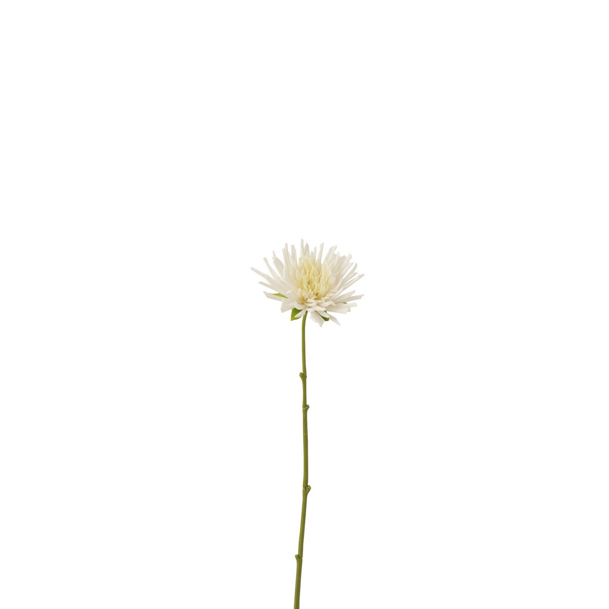 J-Line - Chrysant Mini Plastic Wit Small