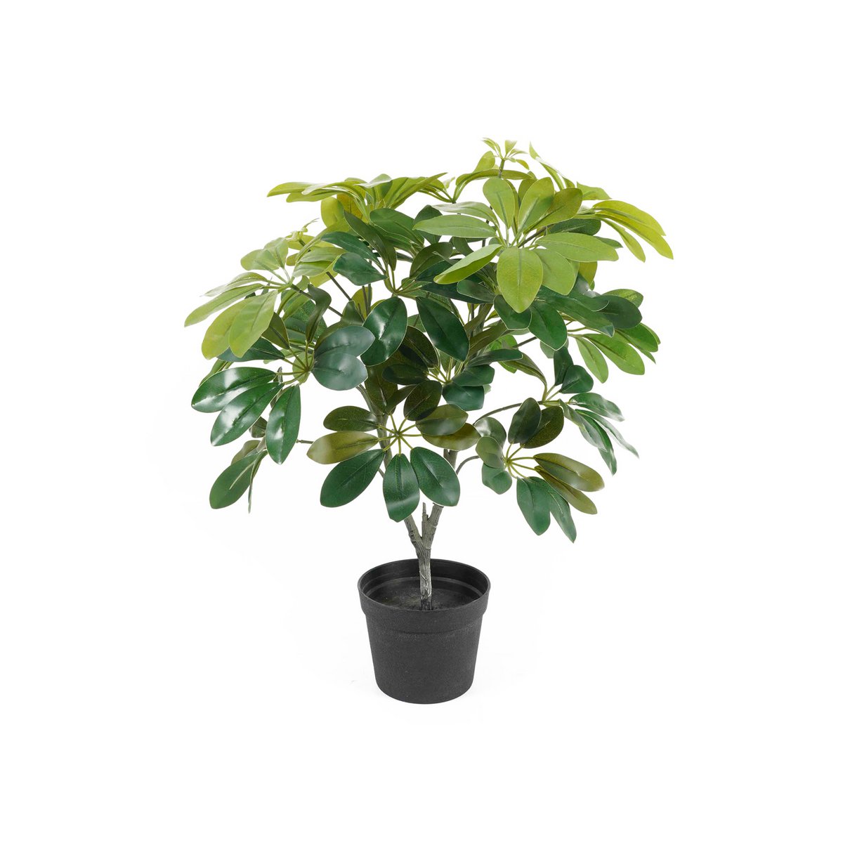 Present Time - Kunstplant Schefflera