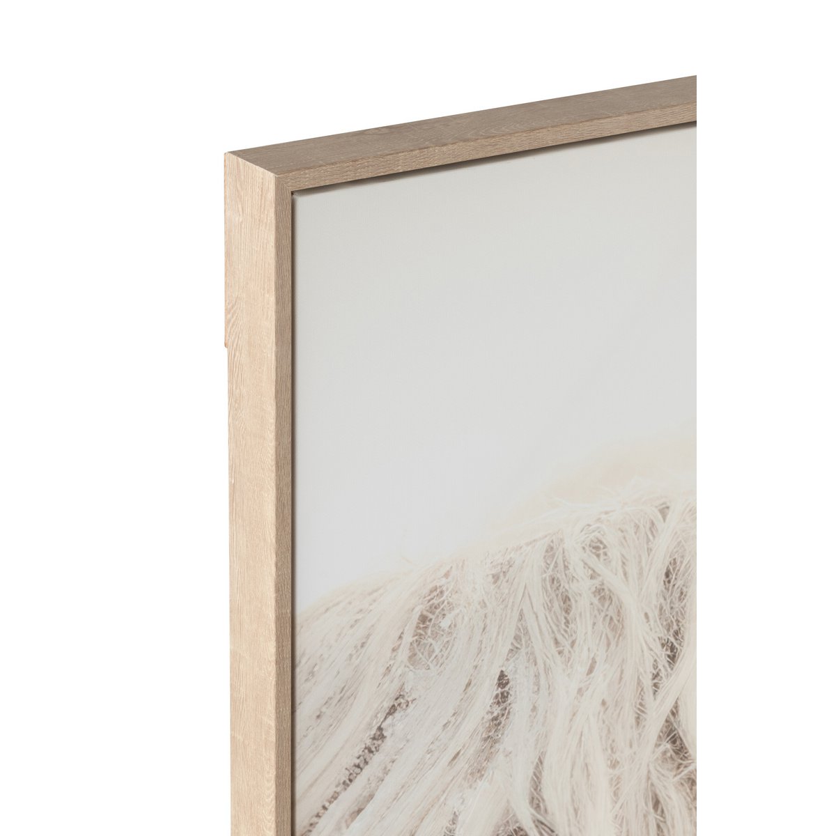 J-Line - Wanddecoratie Yak Hoofd Hout/Polyresin Wit/Beige