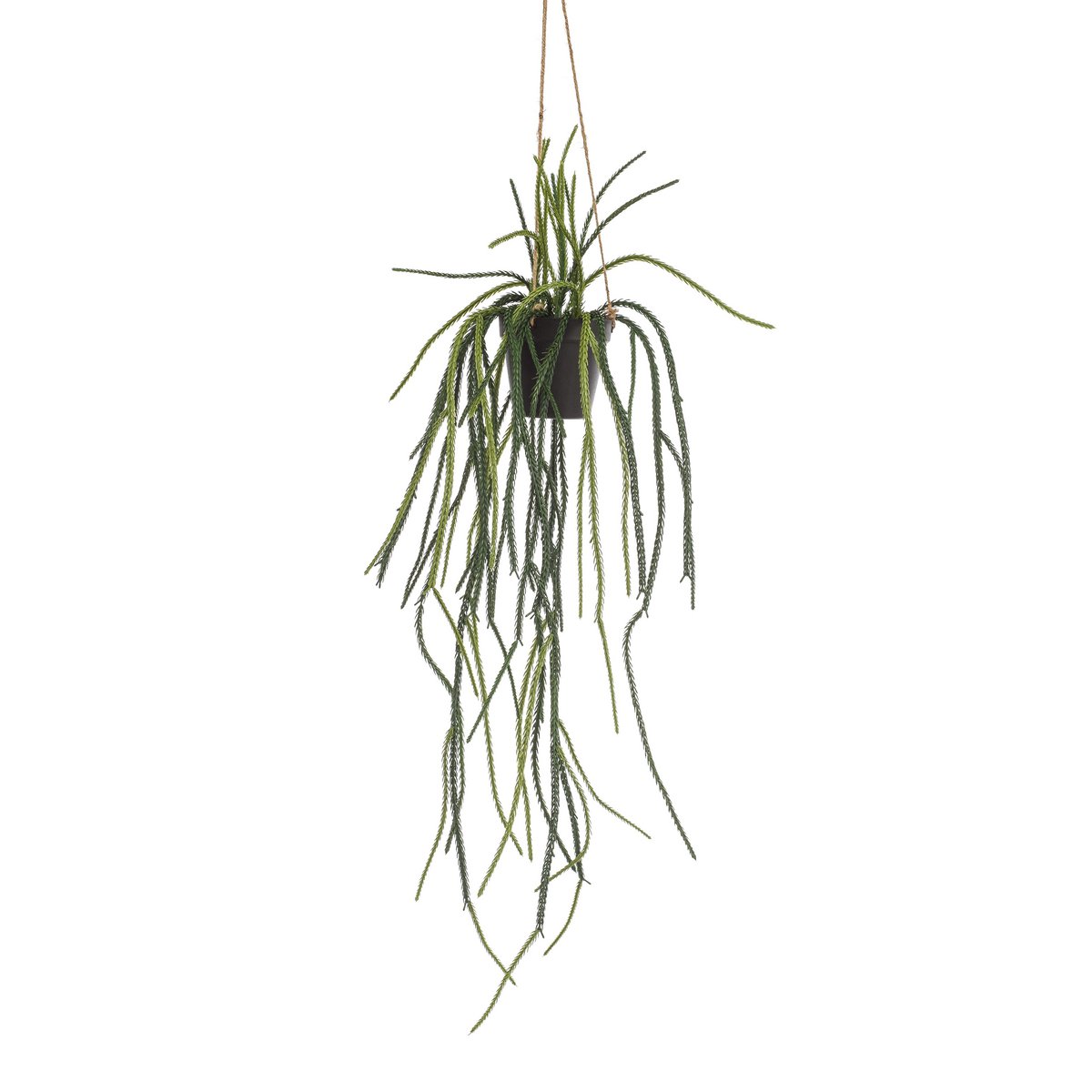 Green BoutiQ - Kunstplant - Rhypsalis - Koraalcactus - 85 cm