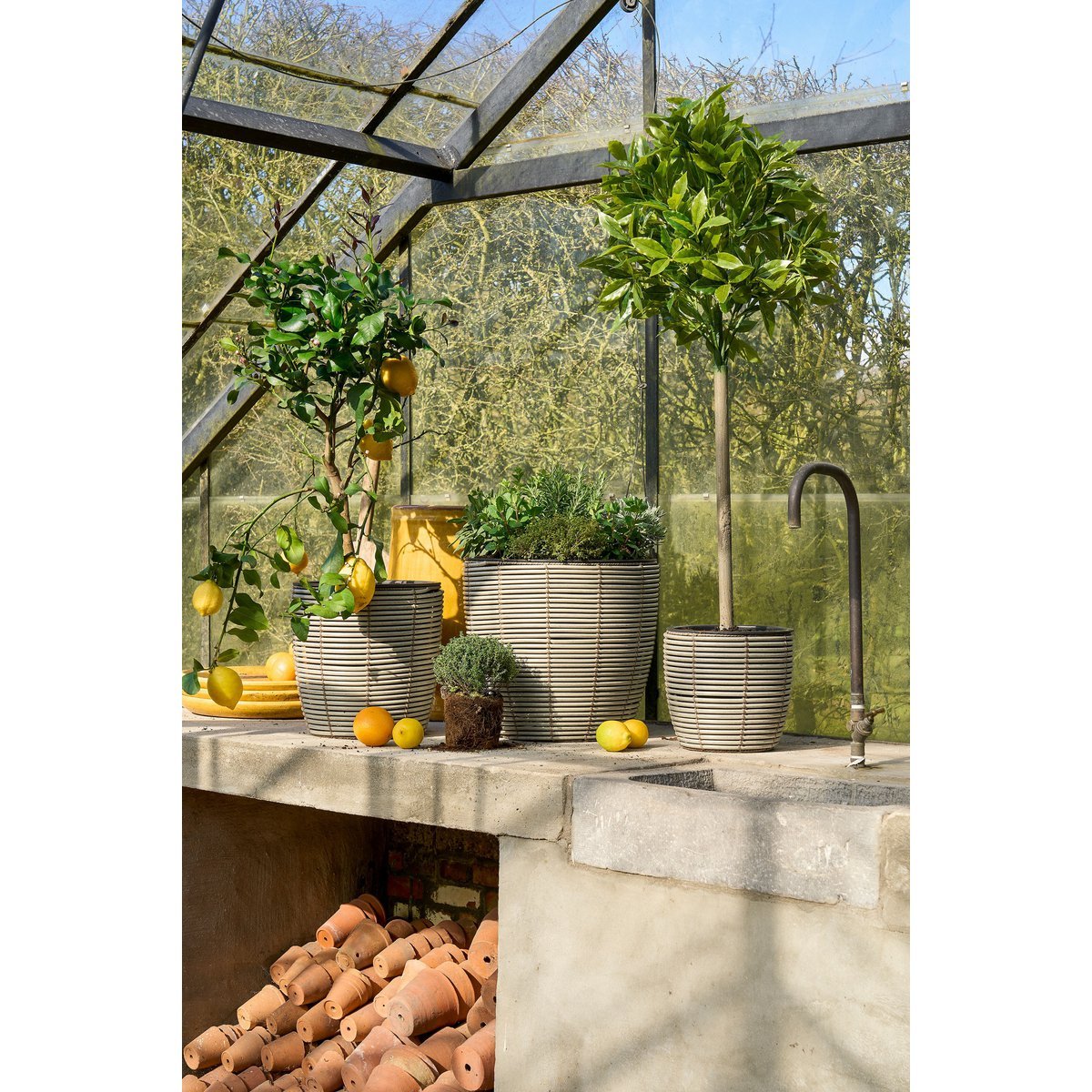 Mica Decorations - Laurierboom Kunstplant - H120 x Ø40 cm - Groen