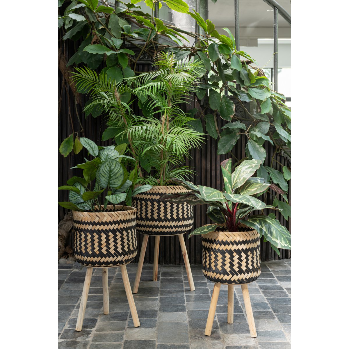 J-Line - Bergpalm In Pot Plastic Groen/Zwart Small