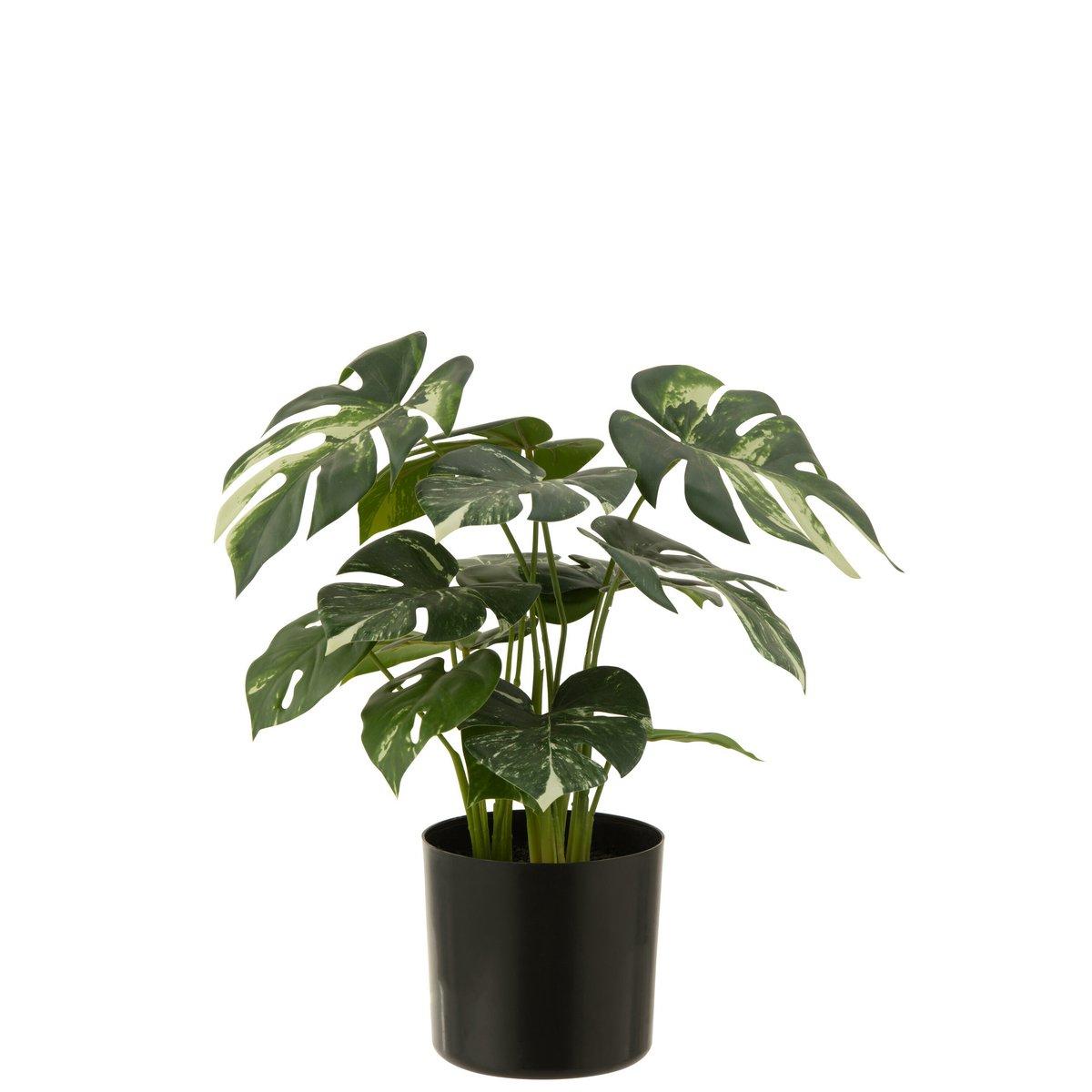 J-Line - Monstera In Pot - Kunststof - Groen