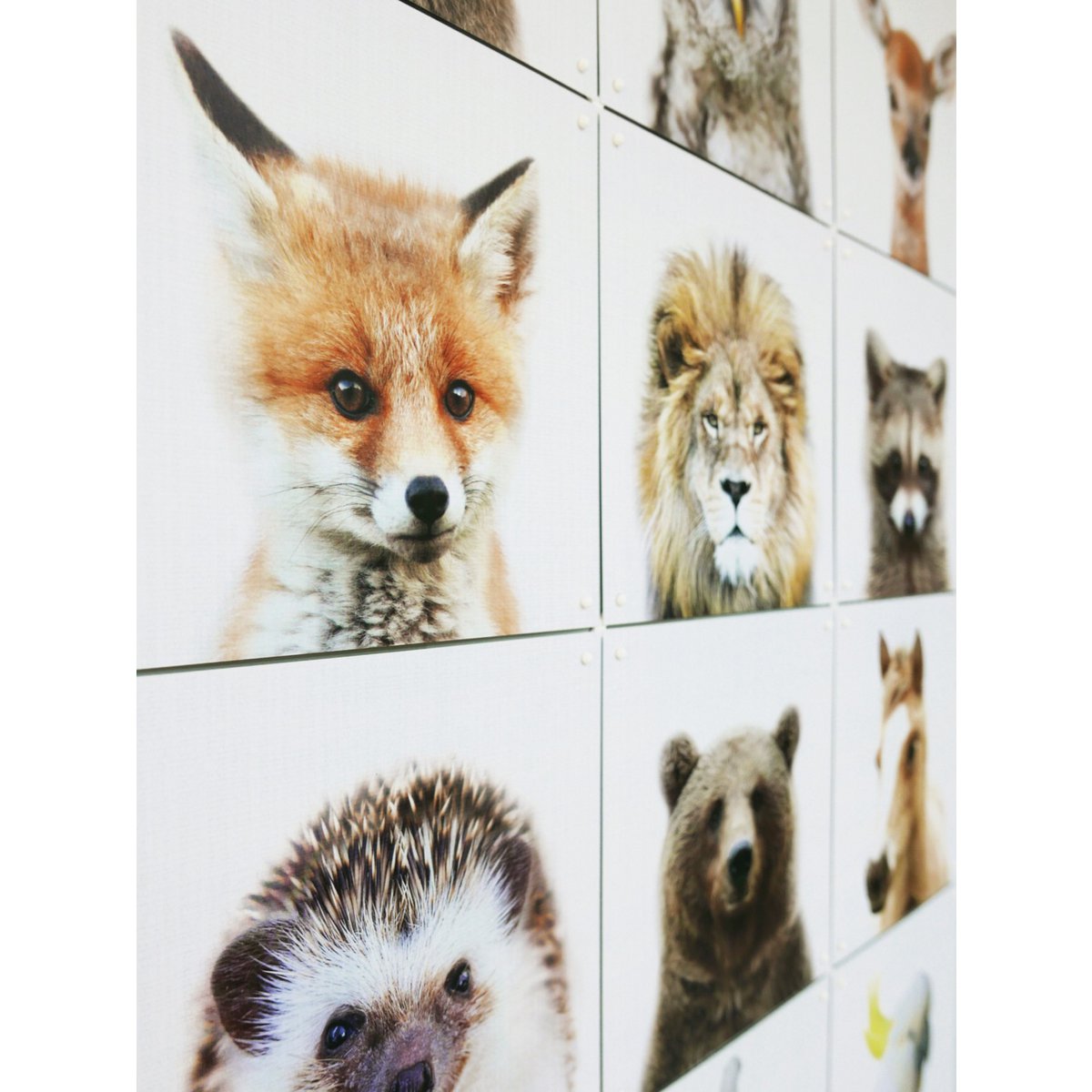 IXXI - Dierenfamilie Wall art - Poster - Wanddecoratie