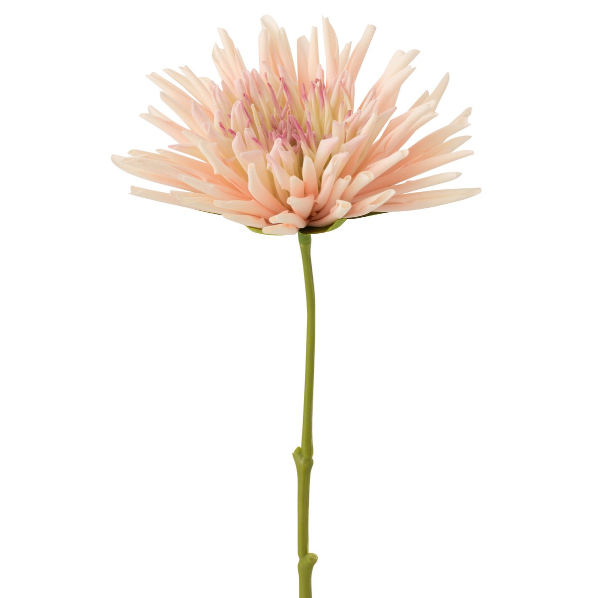 J-Line - Chrysant Mini - Wit/Lichtroze