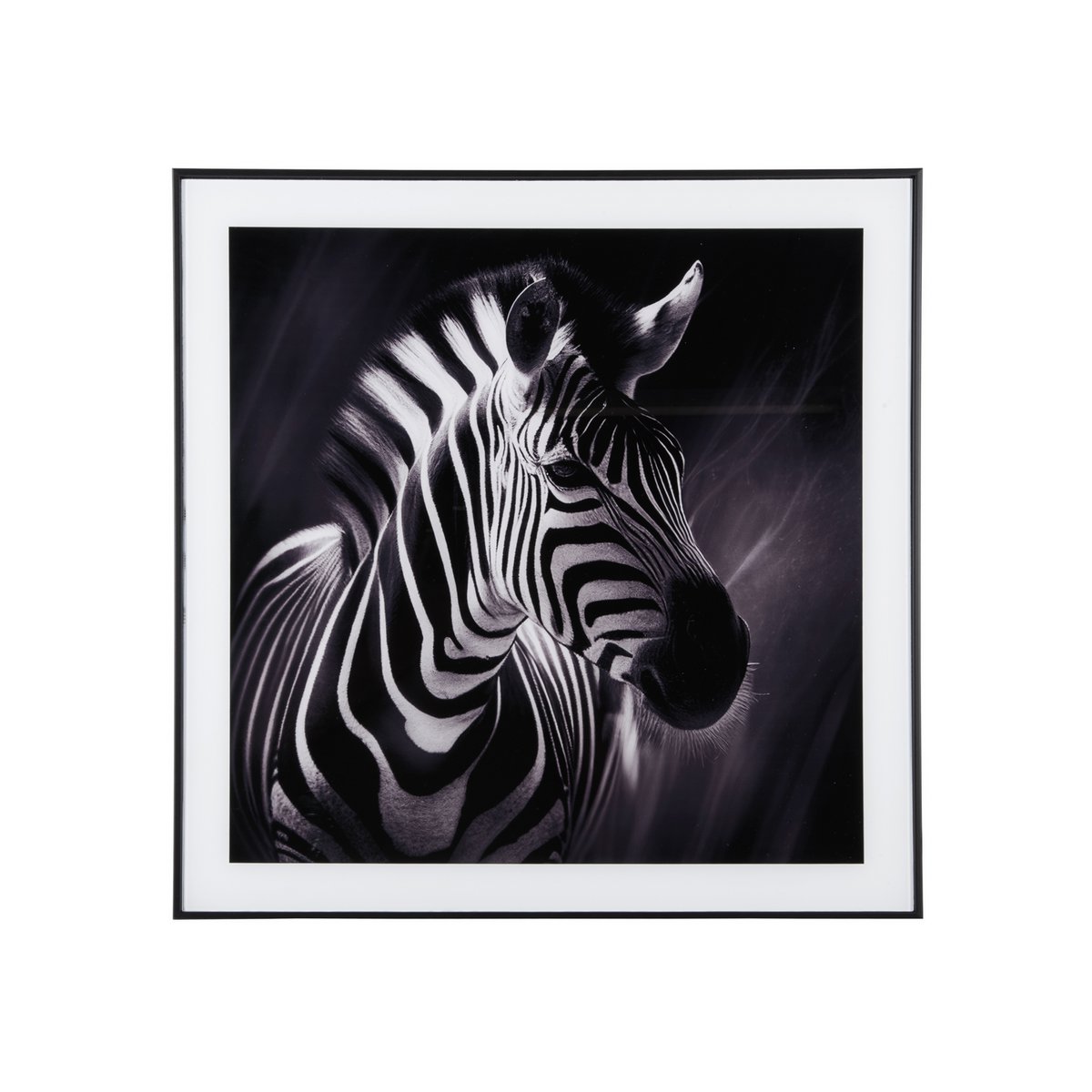 Present Time - Fotokunst Zebra