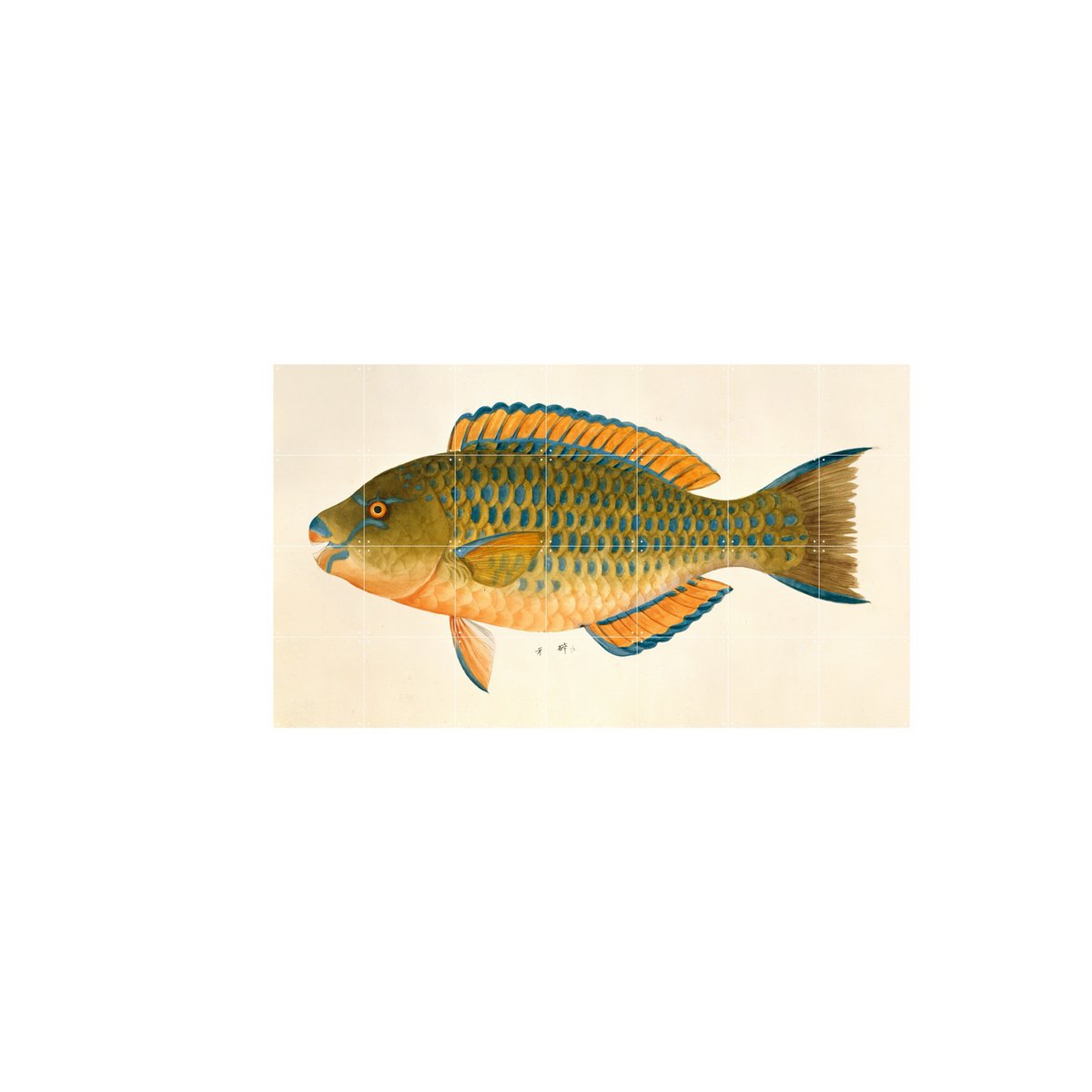 IXXI - Green Fish Wall art - Poster - Wanddecoratie