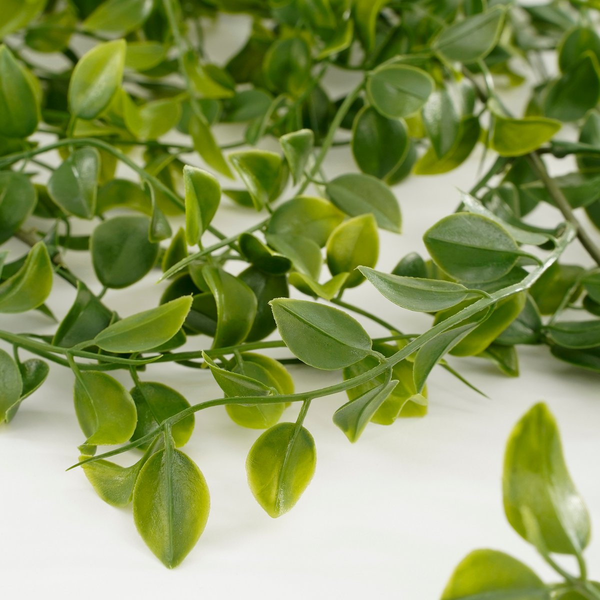 Mica Decorations - Ficus Kunst Hangplant - H81 cm - Groen