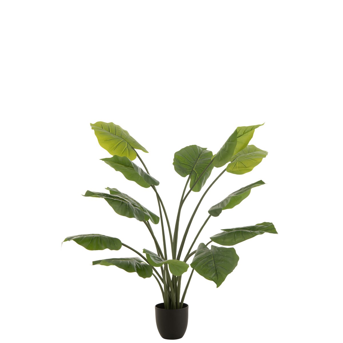 J-Line - Plant Taro Wild In Pot - Kunststof - Groen - Large