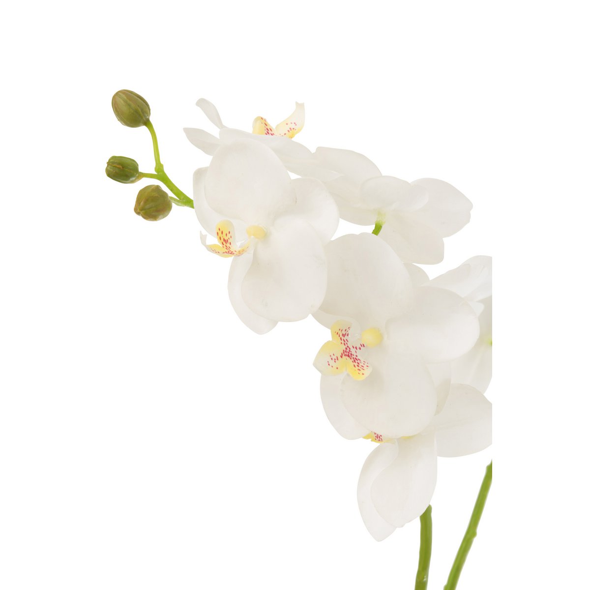 J-Line - Orchidee In Aarde Plastic Wit/Groen Medium