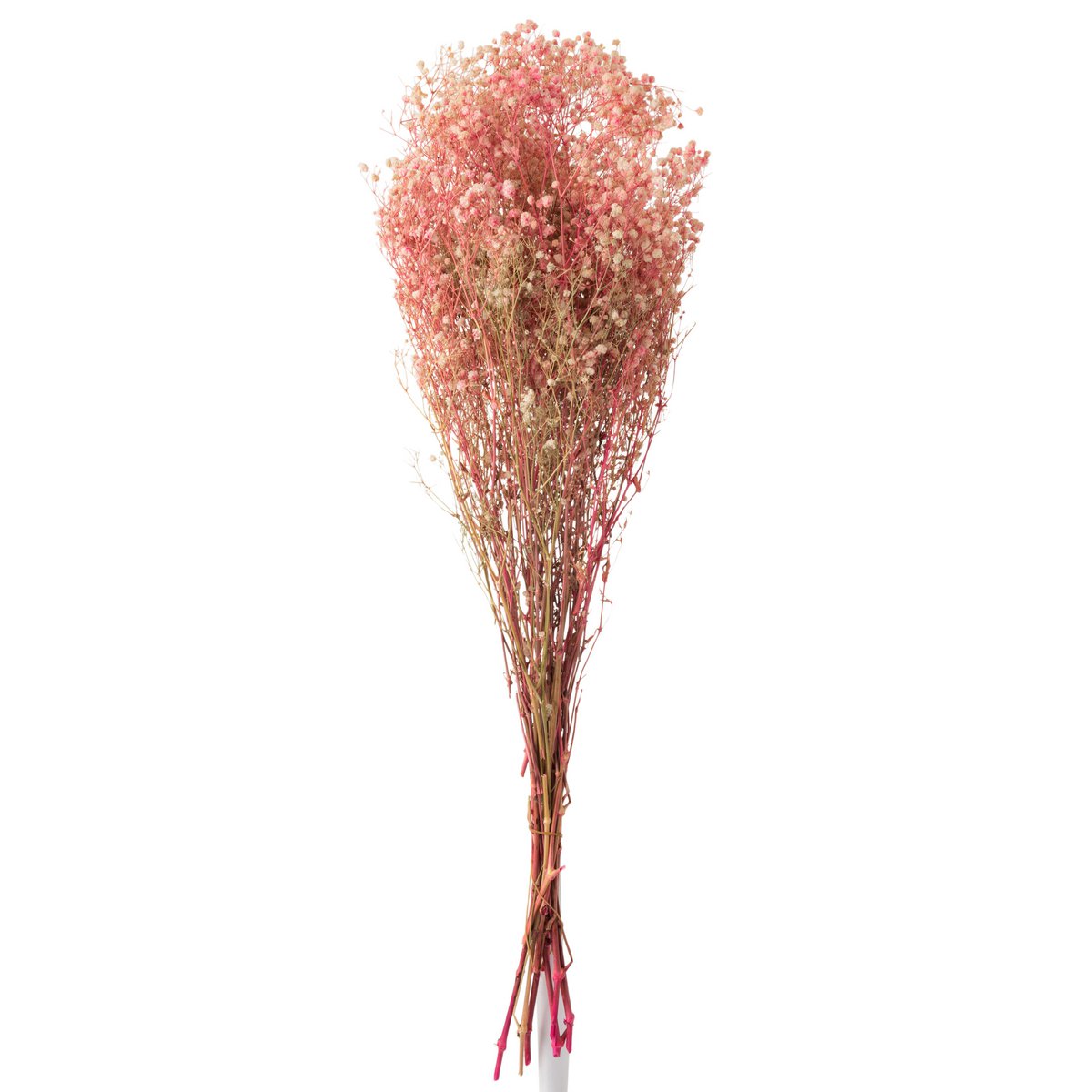 J-Line - Bundel Gypsophilia Gedroogd Roze