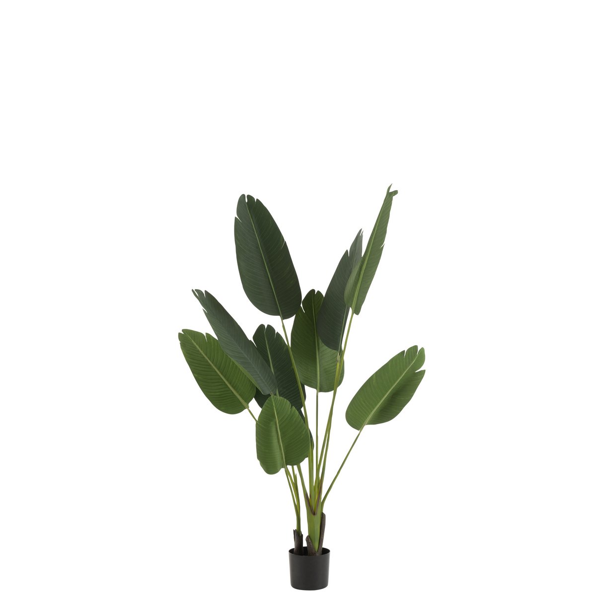 J-Line - Strelitzia Plastic Groen Small