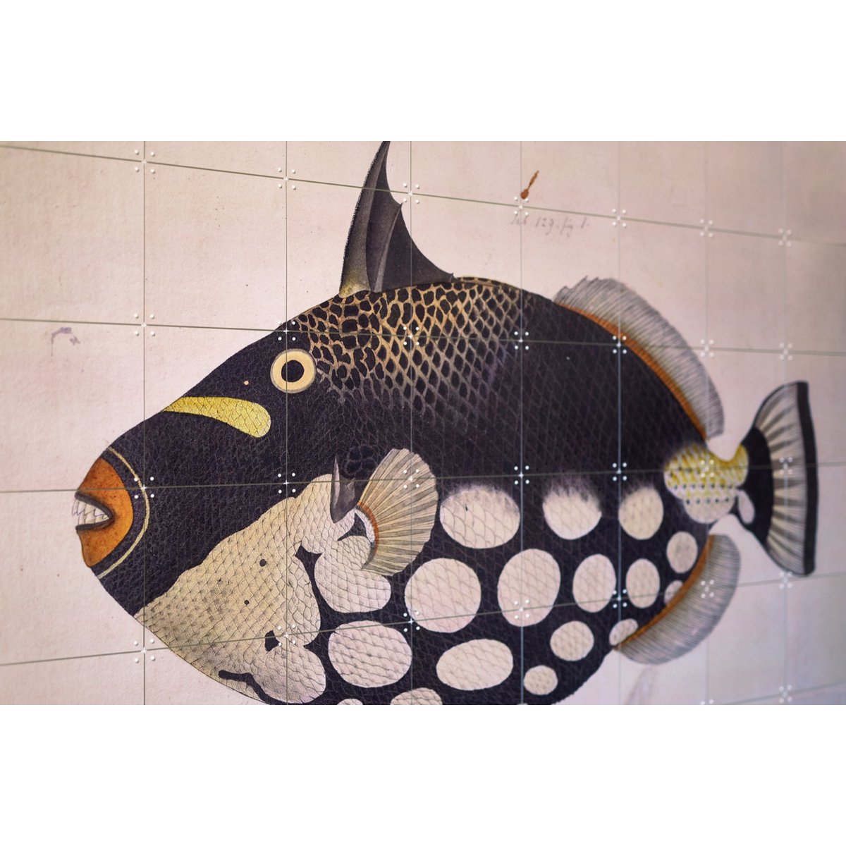 IXXI - Black Fish Wall art - Poster - Wanddecoratie - L - white, black