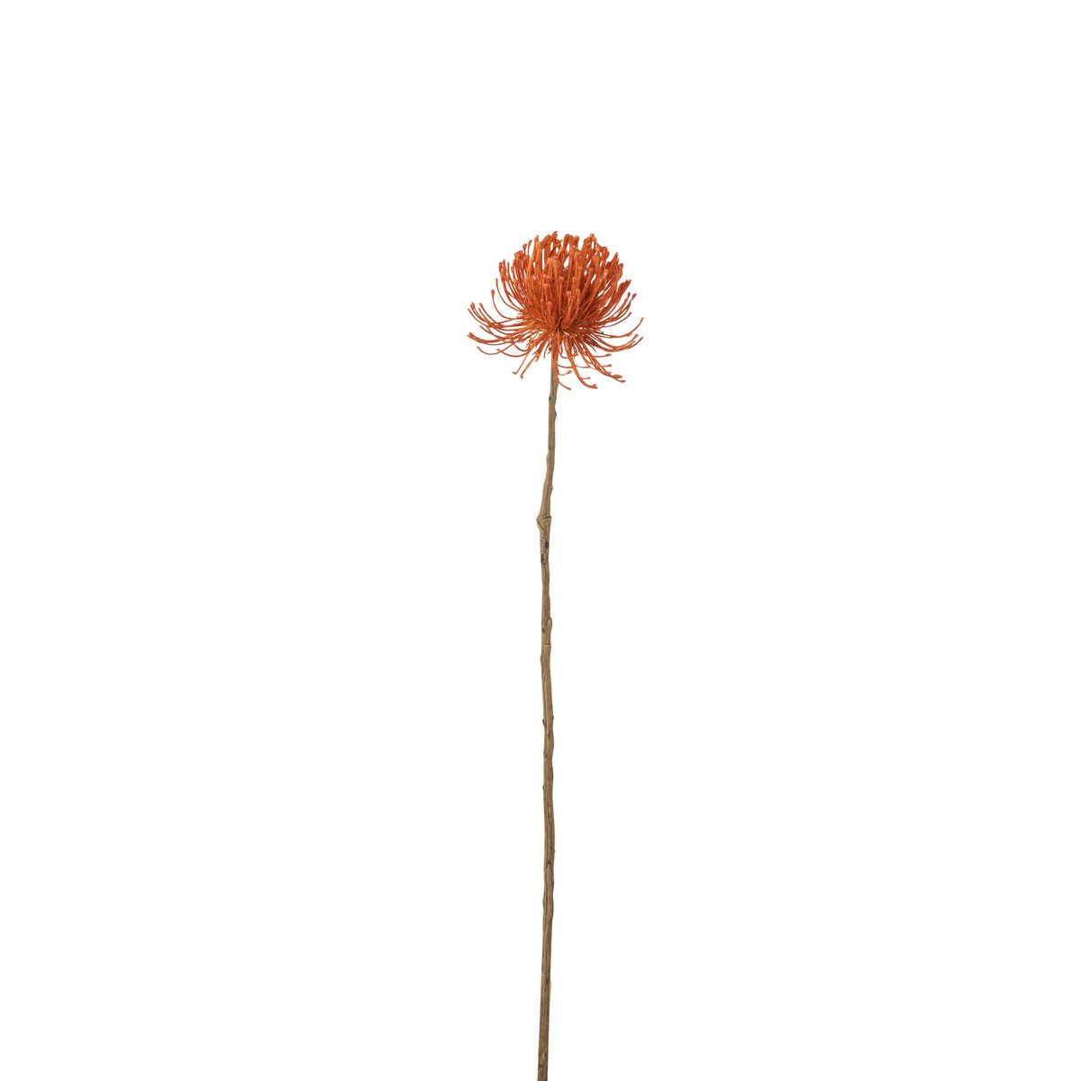 J-Line - Leucospermum Plastic Oranje Groot