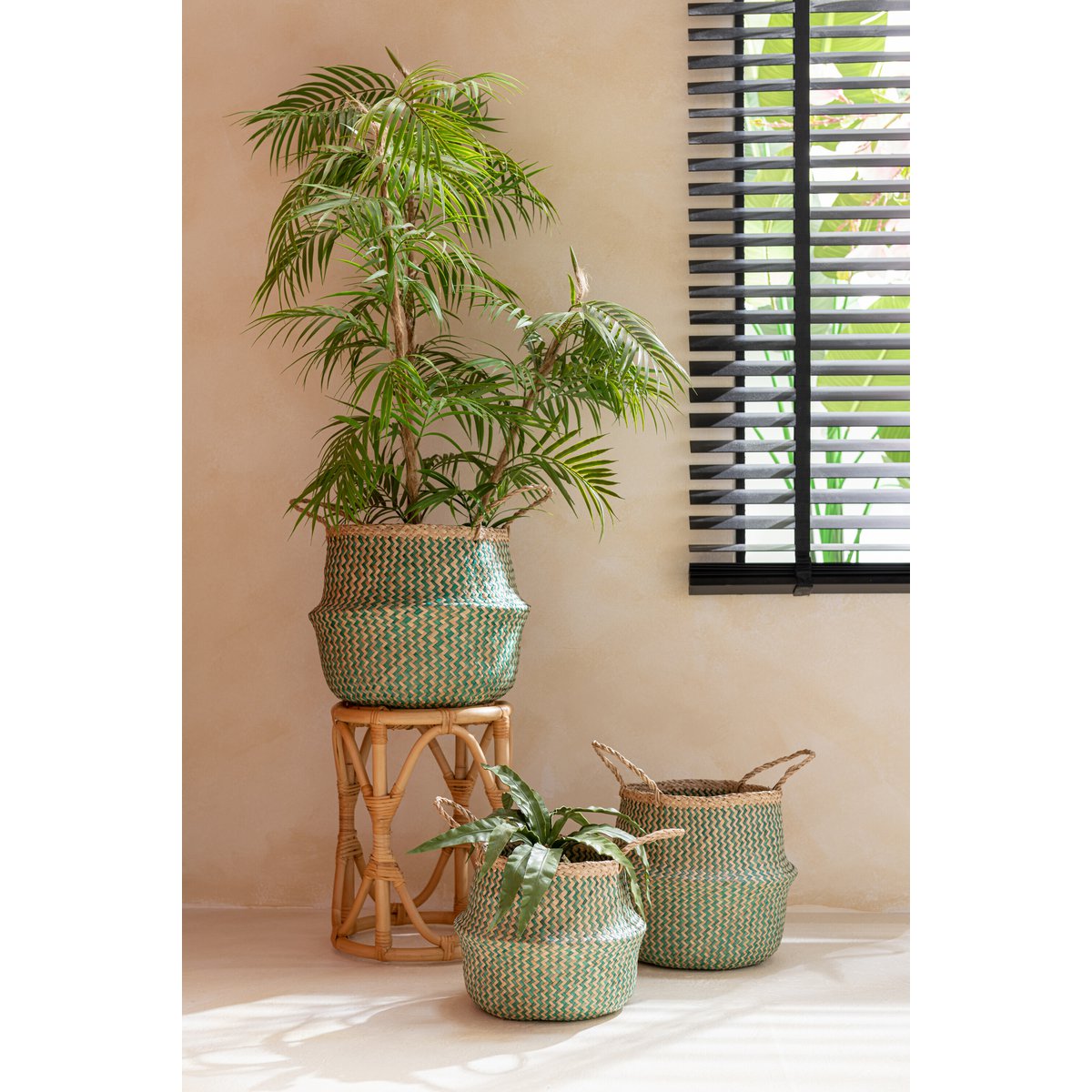 J-Line - Bergpalm In Pot Plastic Groen/Zwart Large