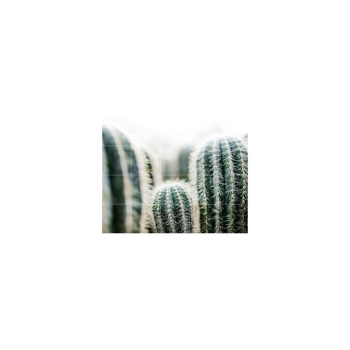 IXXI - Cactus en bladeren Wall art - Poster - Wanddecoratie - S - 100x80 - grey