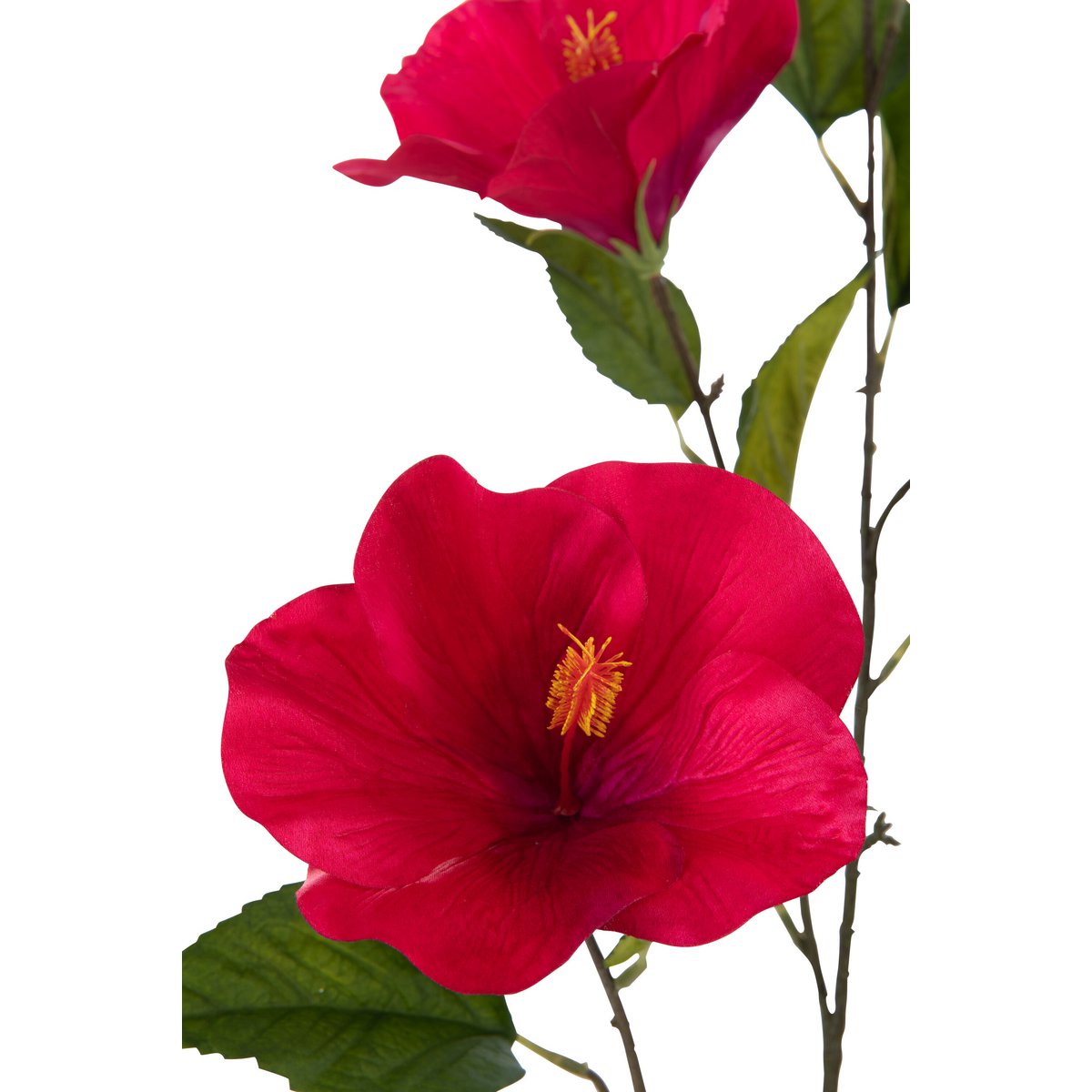 J-Line - Hibiscus Sproeier - Kunststof - Fuchsia