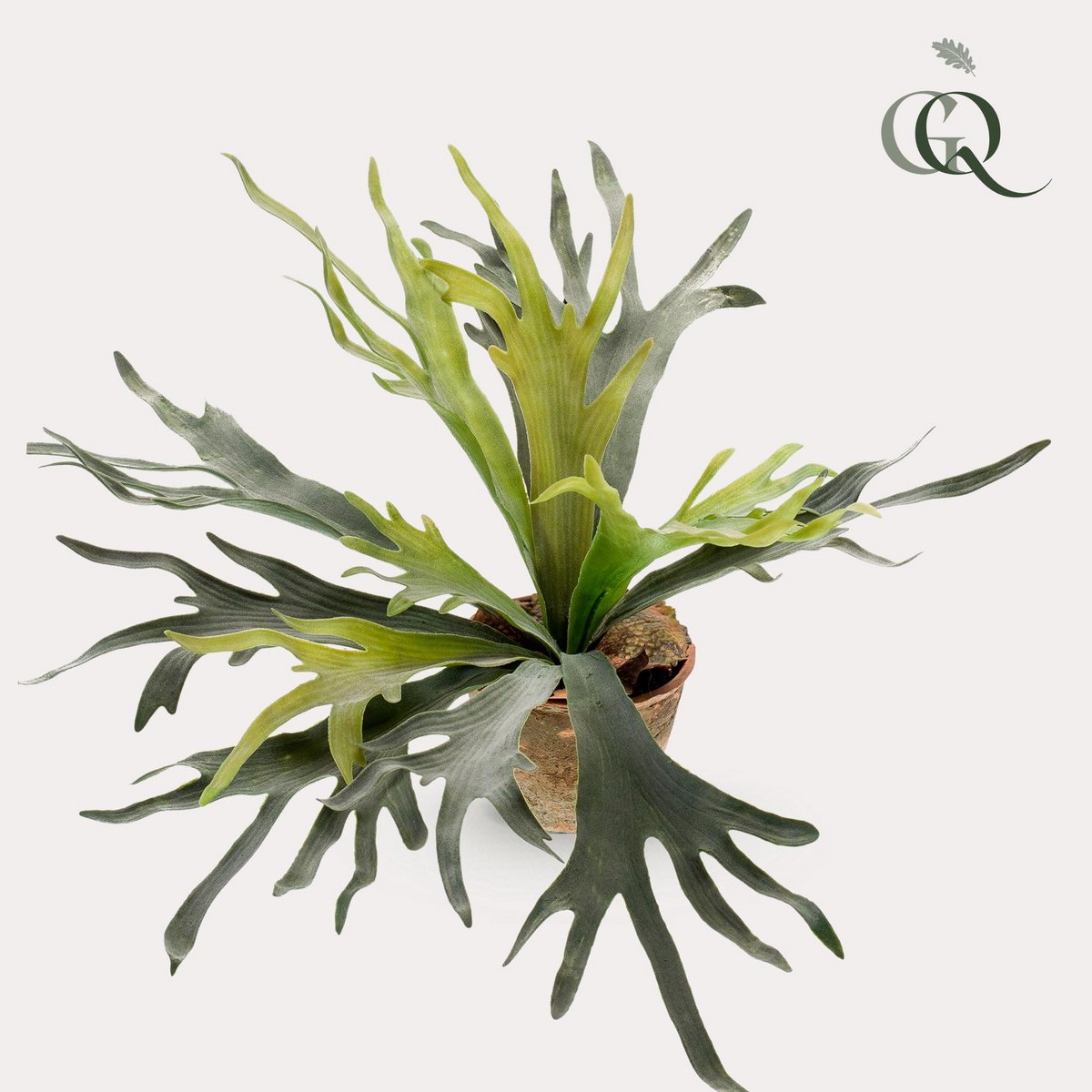 Green BoutiQ - Kunstplant - Staghorn Fern - Hertshoorn - 50 cm
