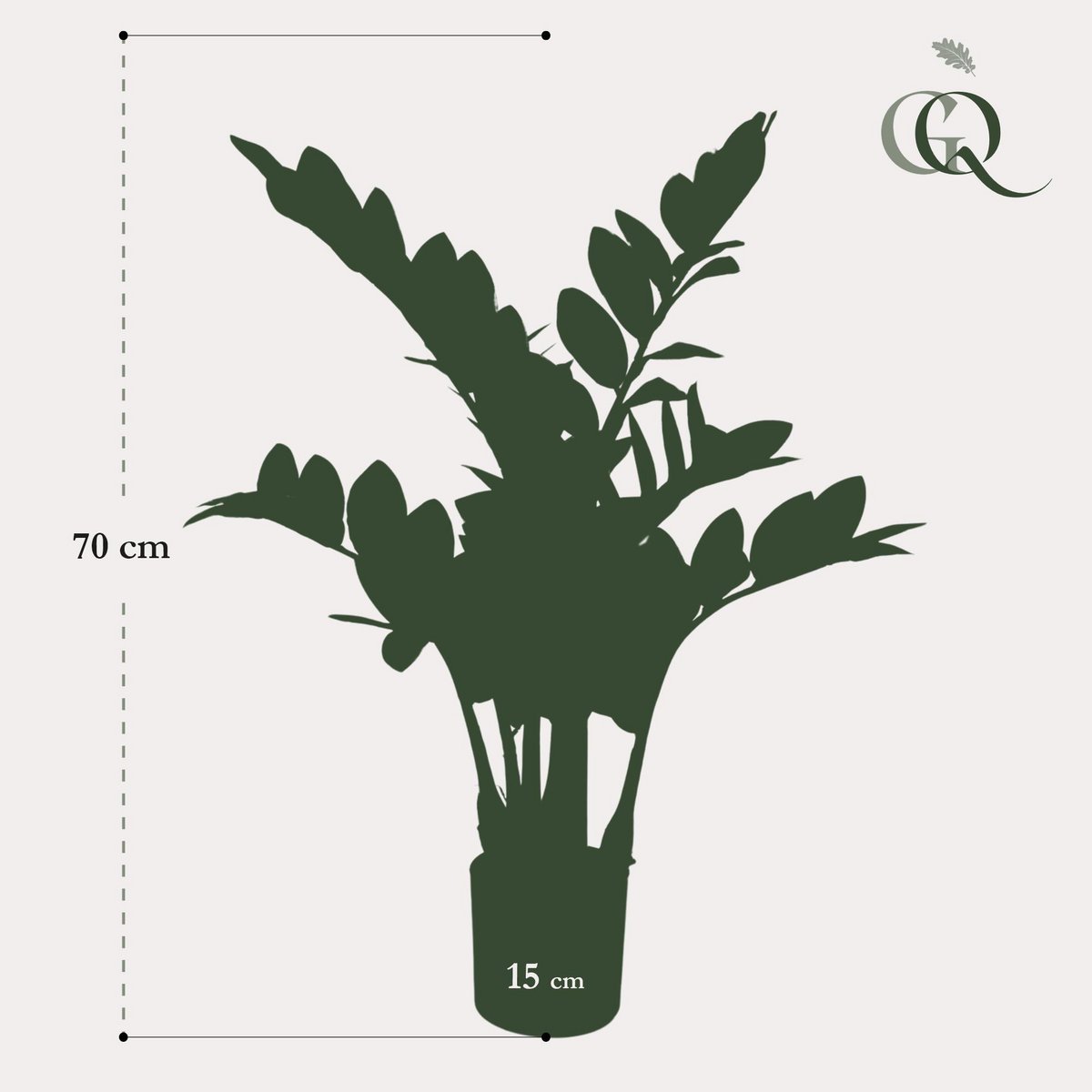 Green BoutiQ - Kunstplant - Zamioculcas - Kamerpalm - 70 cm