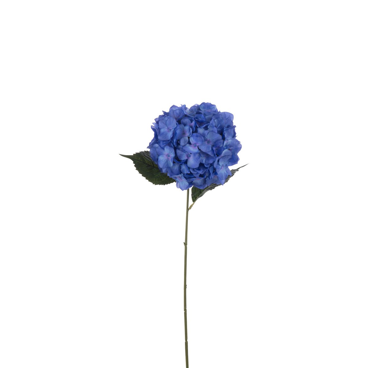 J-Line - Hortensia Sproeier - Kunststof - Blauw