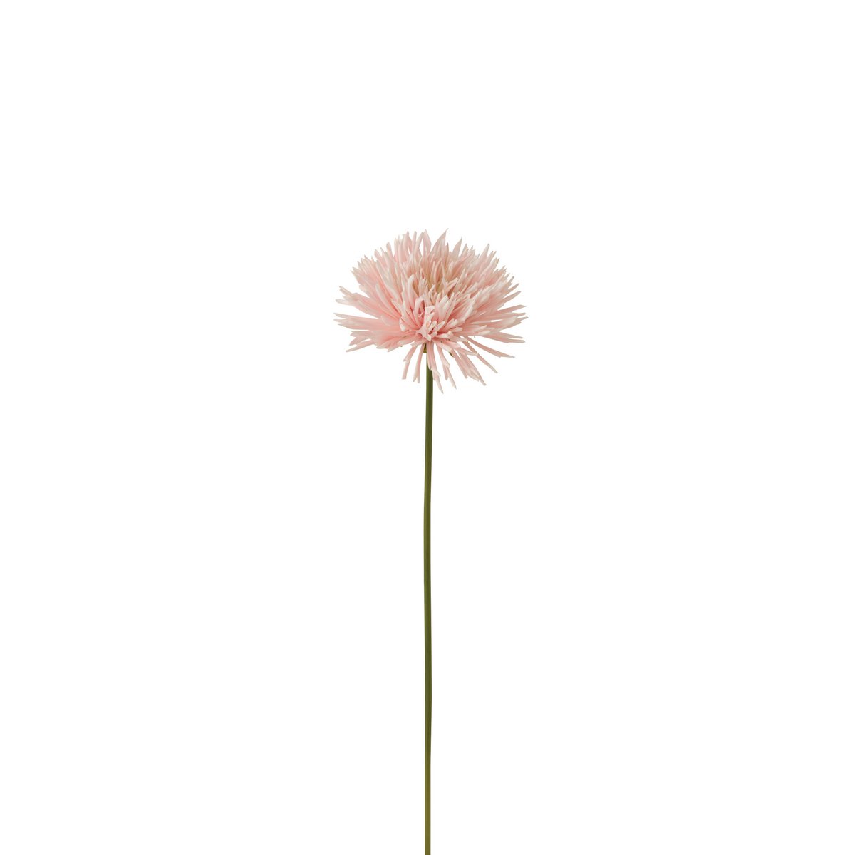 J-Line - Chrysant Plastic Wit Licht Roze