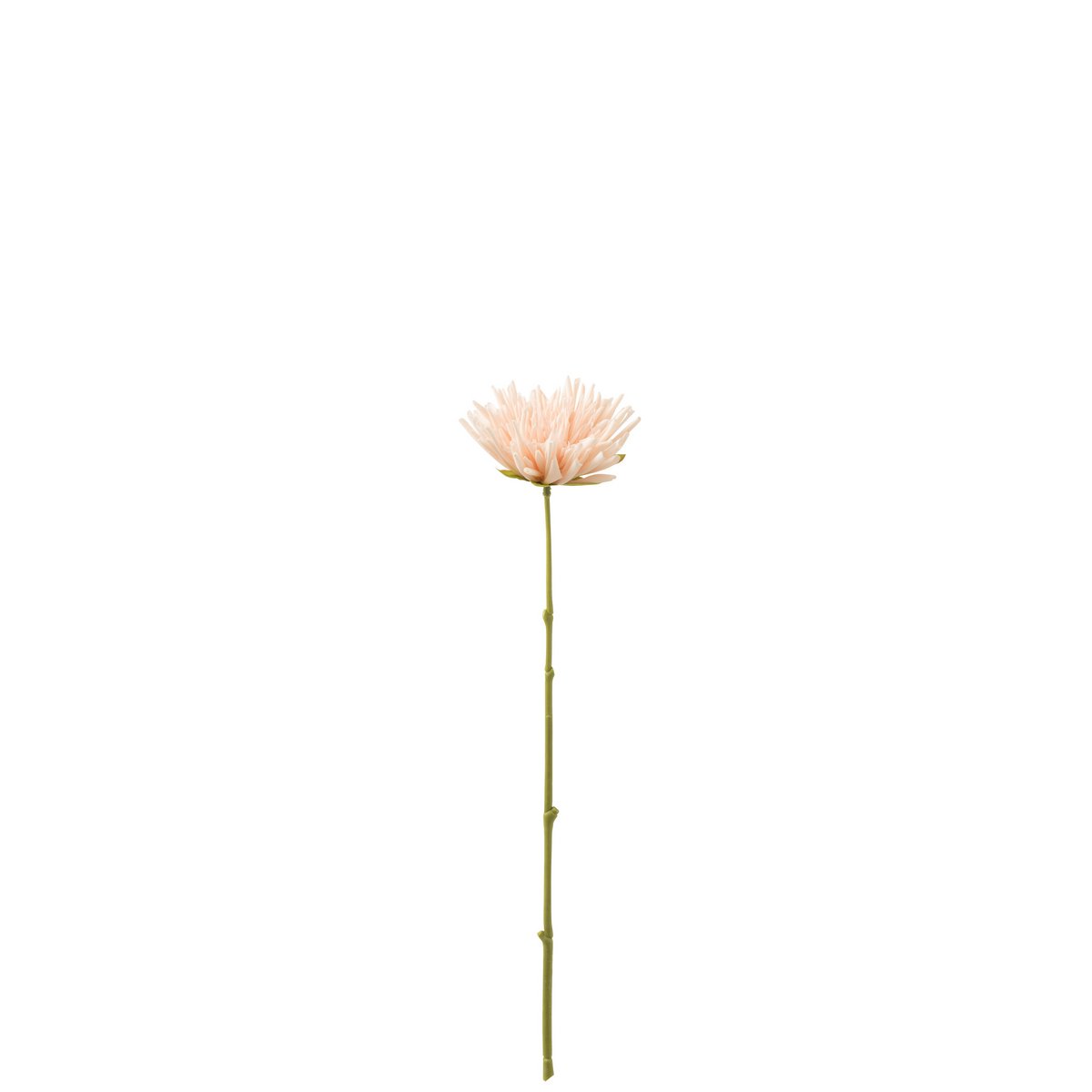 J-Line - Chrysant Mini Plastic Licht Roze