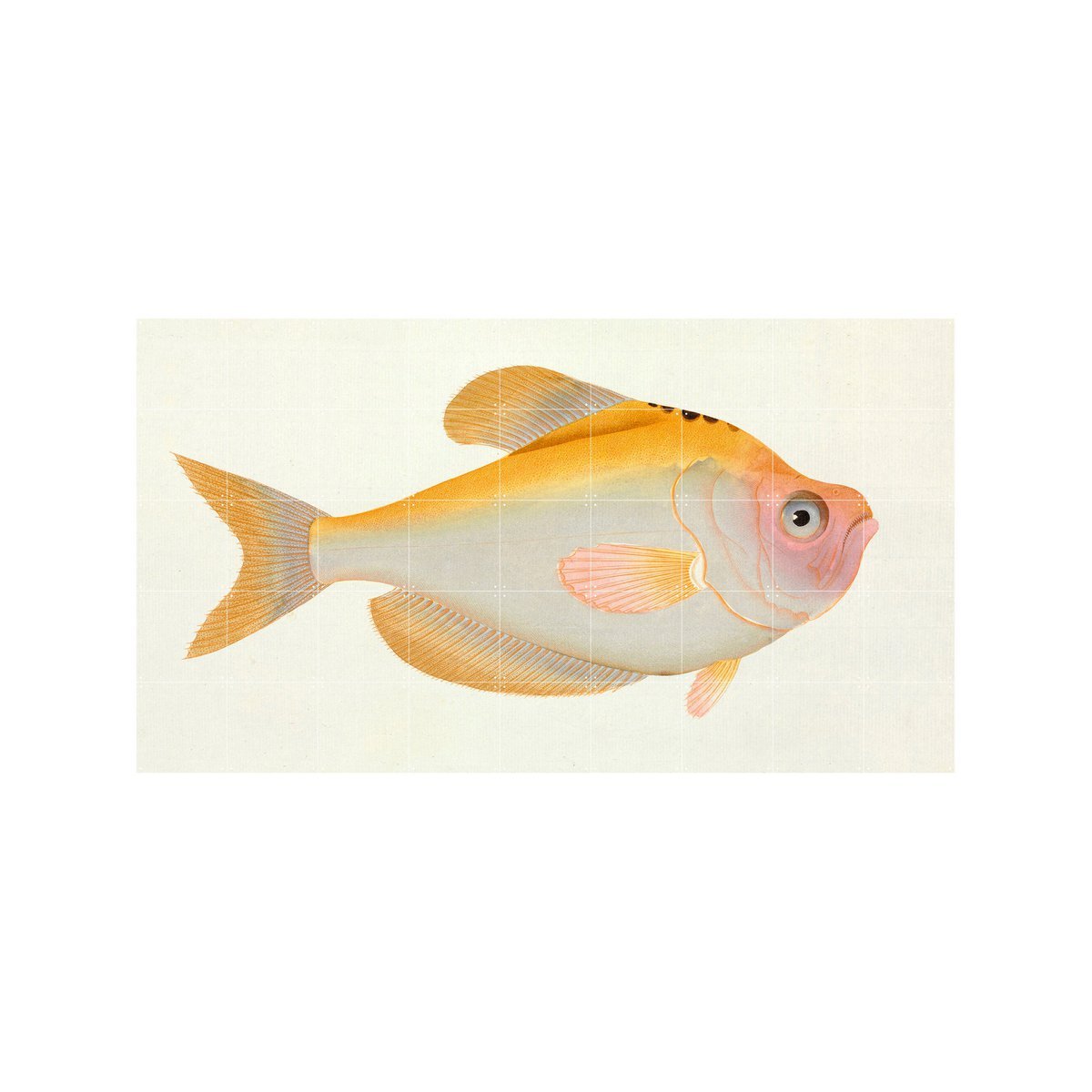 IXXI - Yellow Fish Wall art - Poster - Wanddecoratie - S - yellow