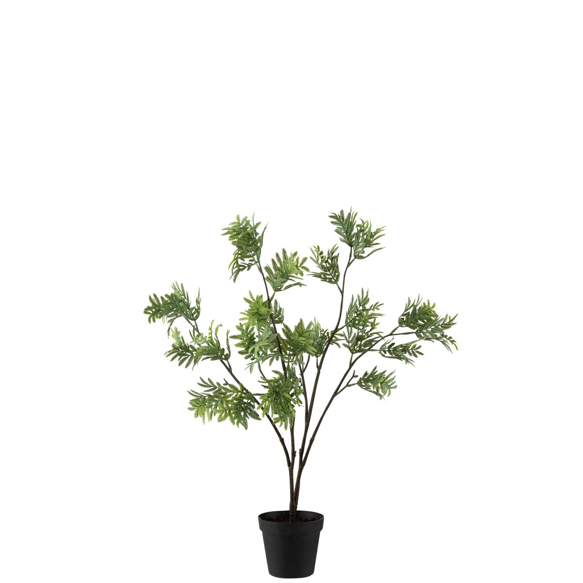 J-Line - Mimosa In Pot Plastic Groen