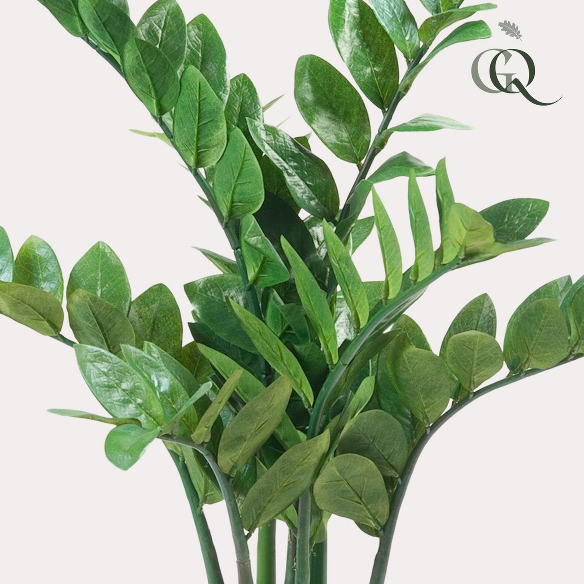 Green BoutiQ - Kunstplant - Zamioculcas - Kamerpalm - 70 cm