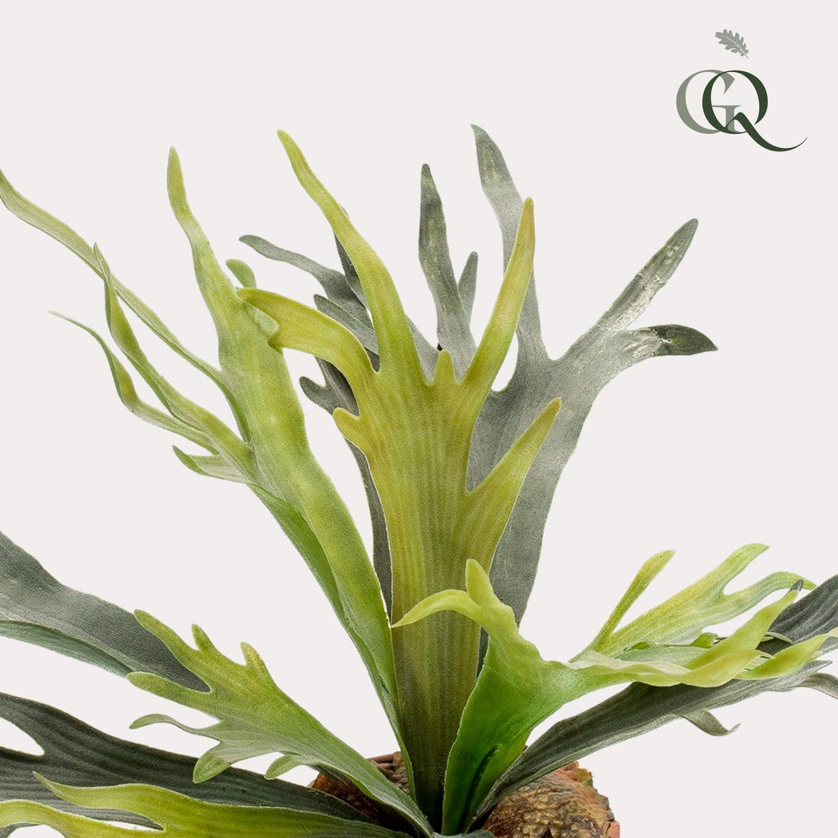 Green BoutiQ - Kunstplant - Staghorn Fern - Hertshoorn - 50 cm