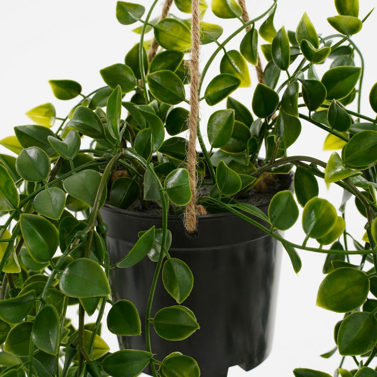 Mica Decorations - Ficus Kunst Hangplant in Pot - H46 x Ø20 cm - Groen
