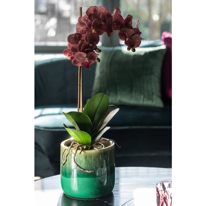 J-Line - Orchidee in pot 'Orchid' (Roze/Zilver)